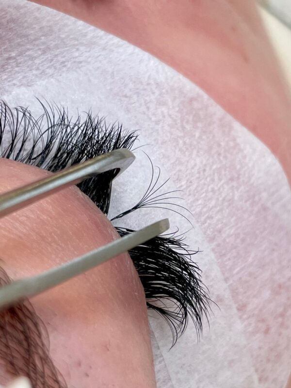 Volume Lashes