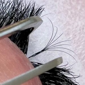 Volume Lashes